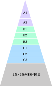 地方競馬のクラス分け
