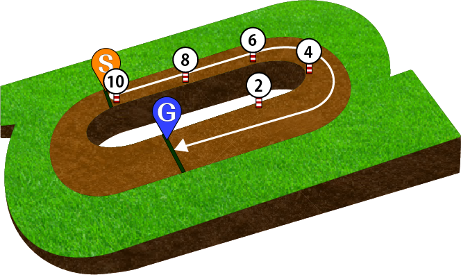 函館競馬場 ダート1000m