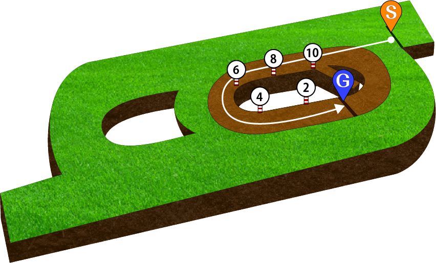 新潟競馬場 ダート1200m 