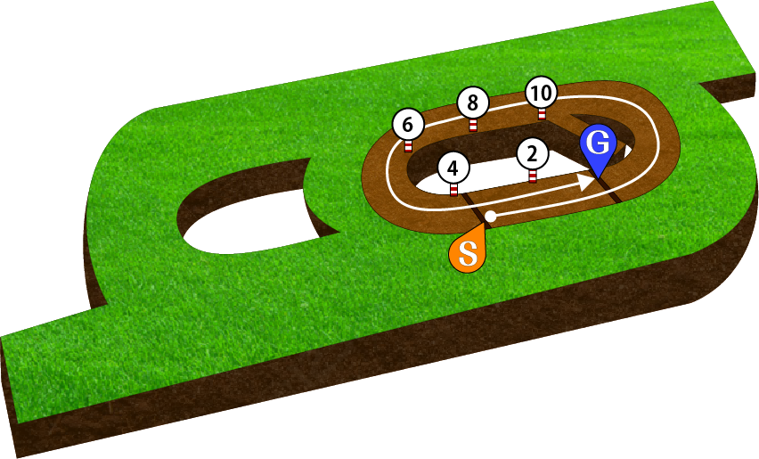 新潟競馬場 ダート1800m