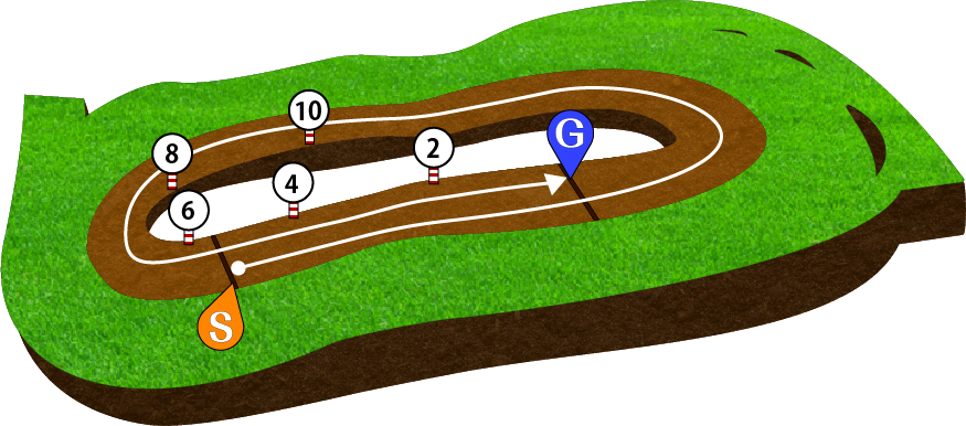 東京競馬場ダート2400m
