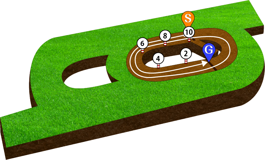 新潟競馬場 ダート2500m