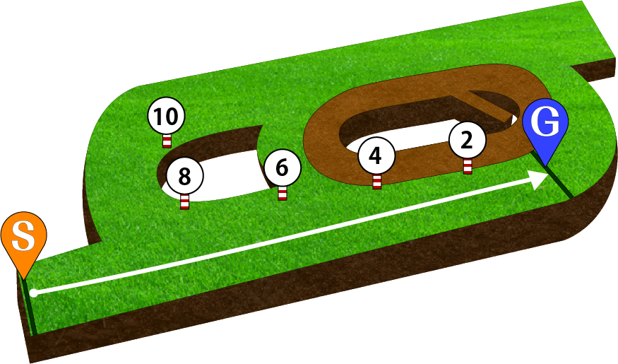 新潟競馬場 芝1000m