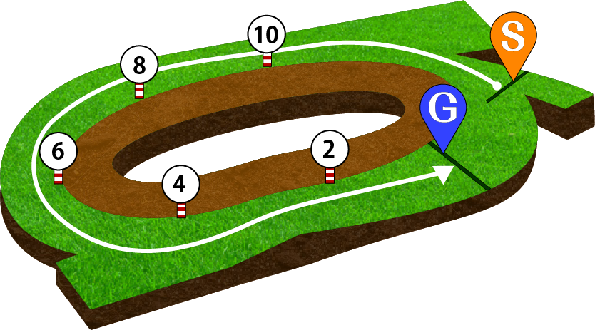 中京競馬場 芝1600m