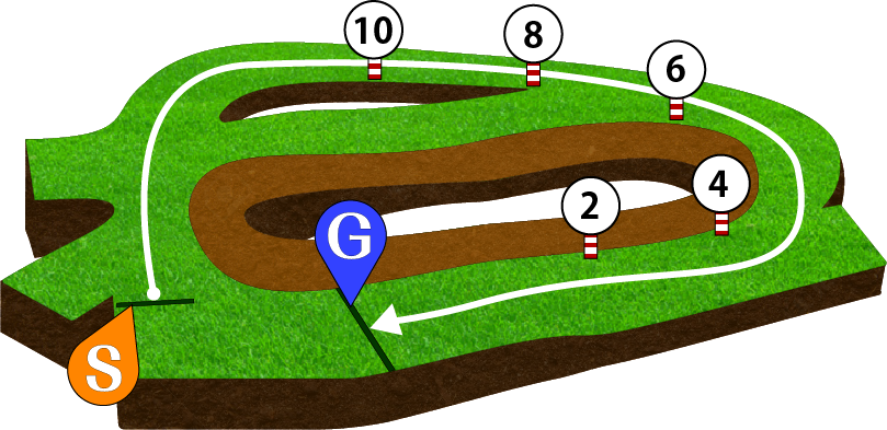 中山競馬場 芝1600m