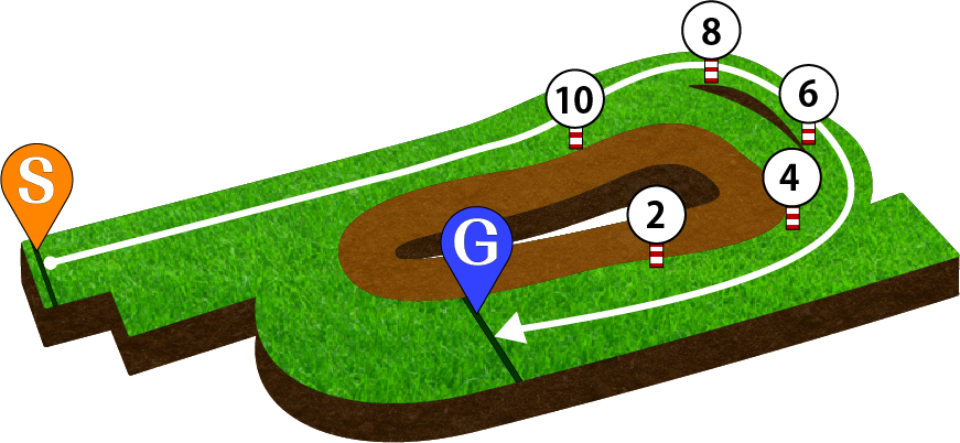 京都競馬場 芝1800m