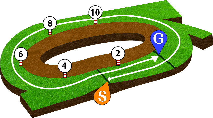 中京競馬場 芝2000m