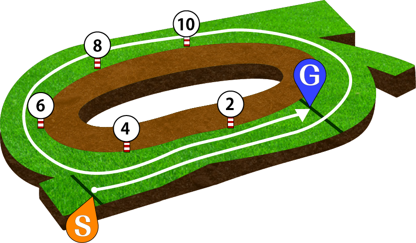 中京競馬場 芝2200m