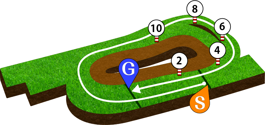 京都競馬場 芝2200m