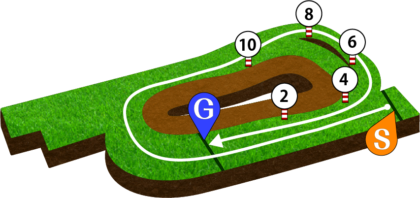 京都競馬場 芝2400m