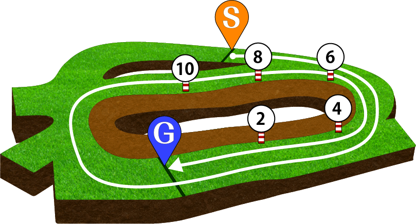 中山競馬場 芝2500m