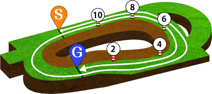 阪神競馬場 芝3000m