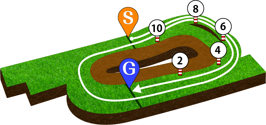 京都競馬場 芝3000m