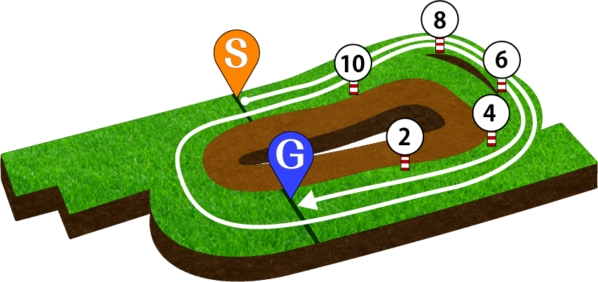 京都競馬場 芝3200m