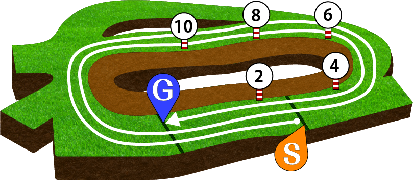 中山競馬場 芝3600m